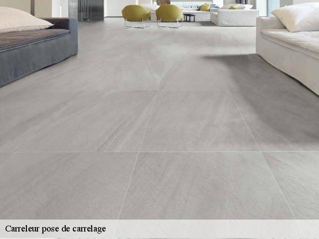 Carreleur pose de carrelage  91160