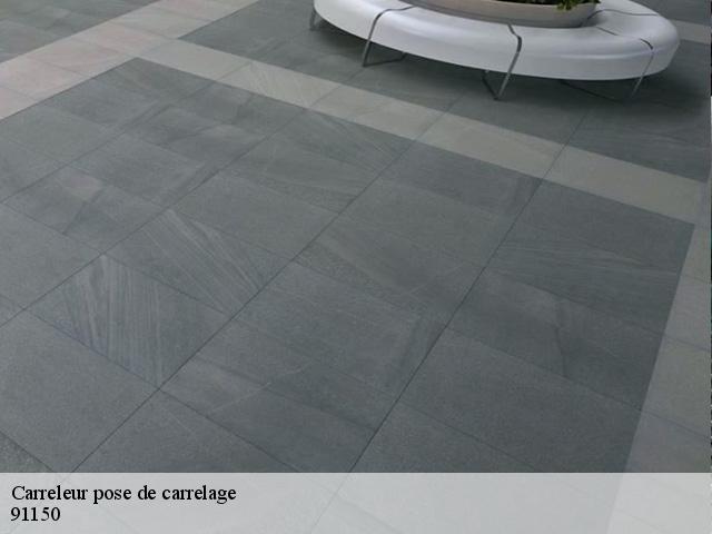 Carreleur pose de carrelage  91150