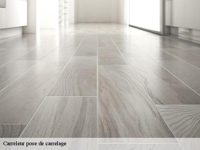 Carreleur pose de carrelage  91150