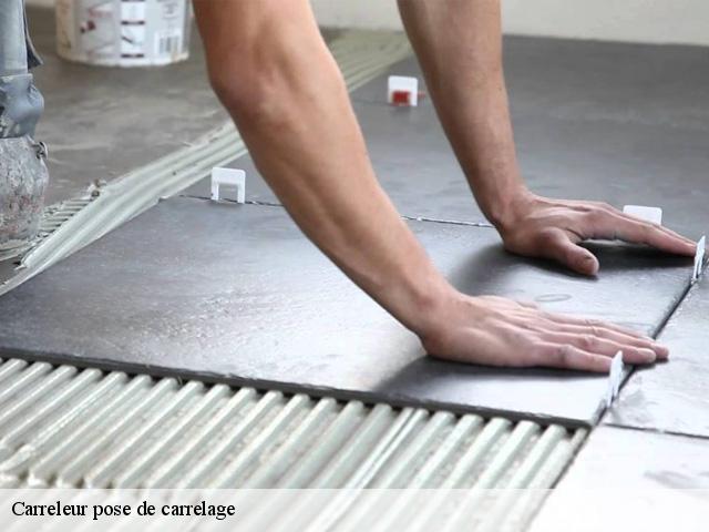 Carreleur pose de carrelage  91360