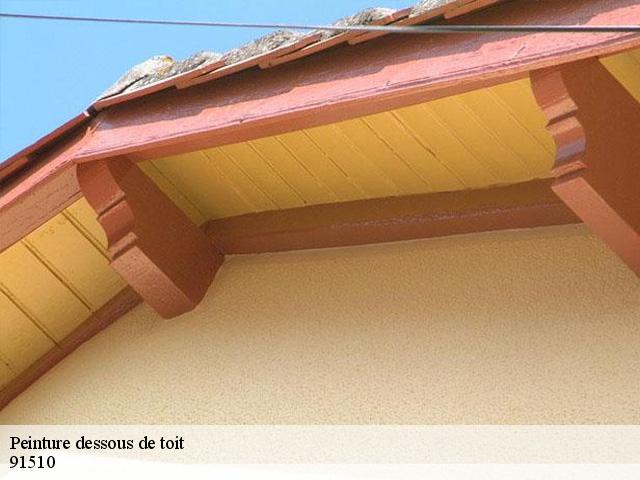 Peinture dessous de toit  91510