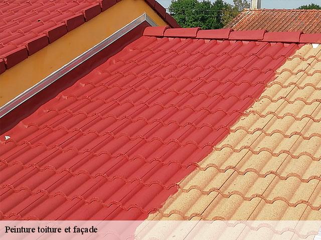 Peinture toiture et façade  91670