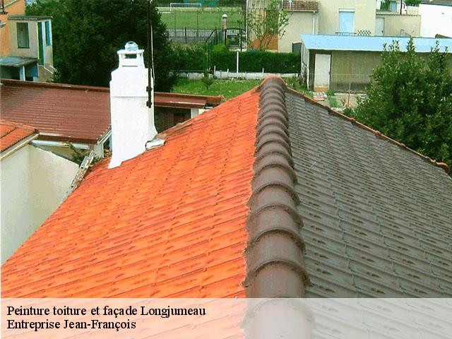 Peinture toiture et façade 91160