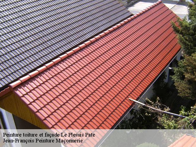Peinture toiture et façade  91220